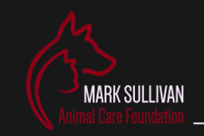 Mark &nbsp;Sullivan&nbsp; Animal&nbsp; Care&nbsp; Foundation